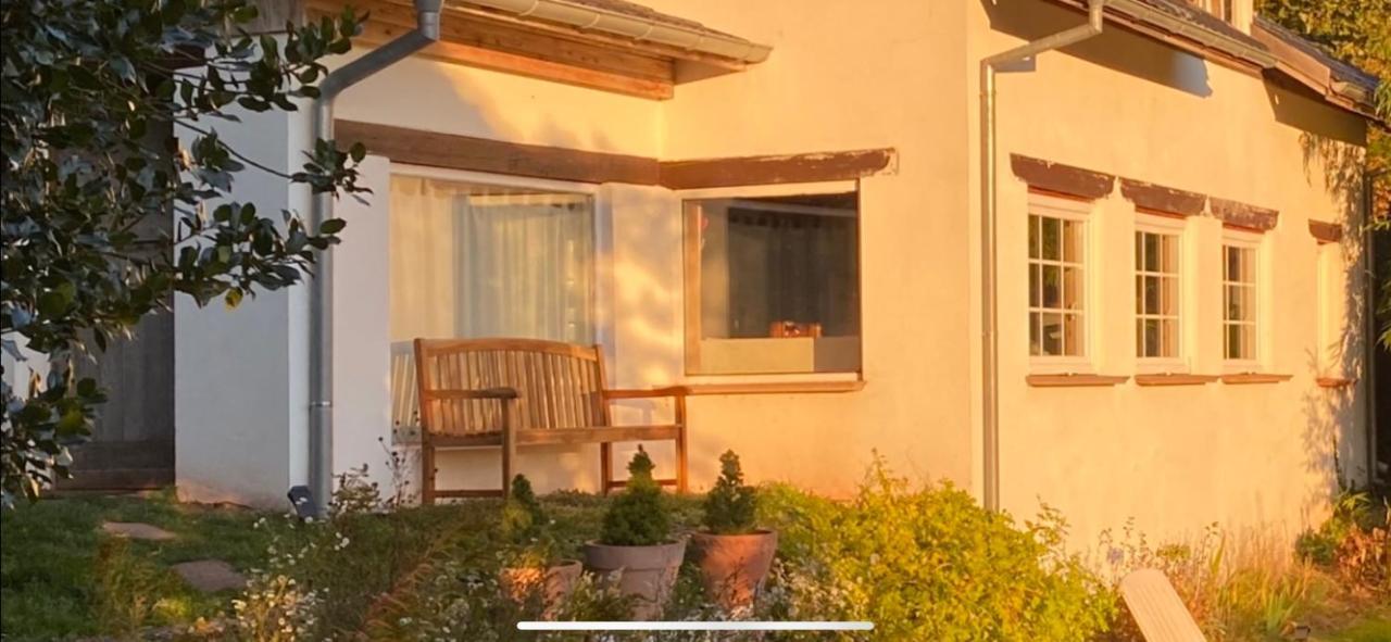 La Dependance De La Villa Des Oiseaux - La Petite Pierre Ngoại thất bức ảnh