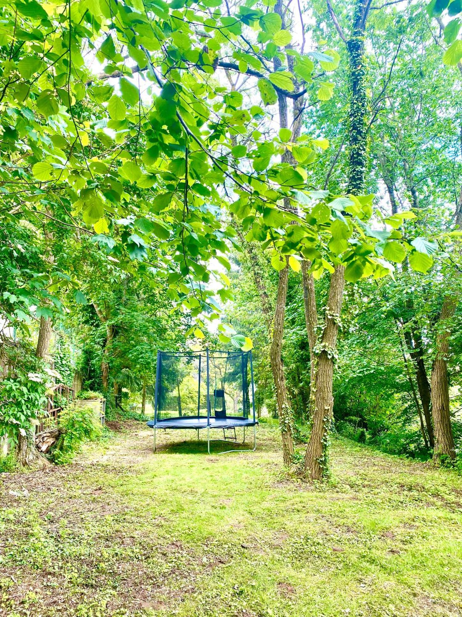 La Dependance De La Villa Des Oiseaux - La Petite Pierre Ngoại thất bức ảnh