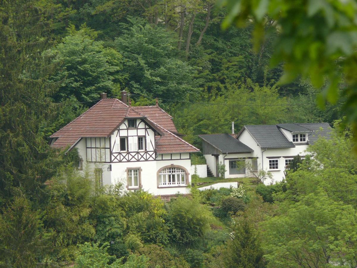 La Dependance De La Villa Des Oiseaux - La Petite Pierre Ngoại thất bức ảnh