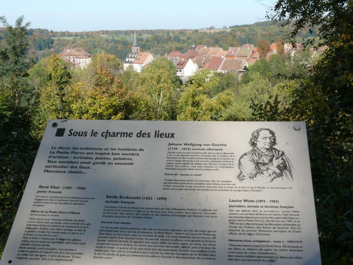 La Dependance De La Villa Des Oiseaux - La Petite Pierre Ngoại thất bức ảnh